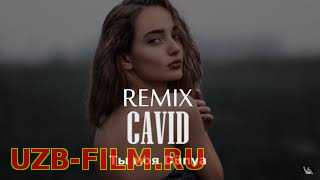Javid - Ты моя Дунья (Official Video) new 2019 [HD skachat]