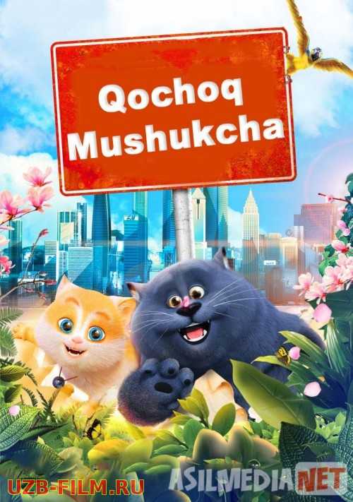 Qochoq mushukcha Uzbek tilida multfilm 2018 O'zbek tarjima kino HD