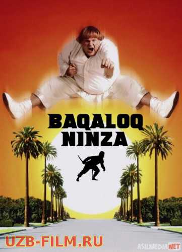 Baqaloq Ninza / Semiz Nindzya Uzbek tilida 1997 O'zbekcha tarjima film Full HD skachat